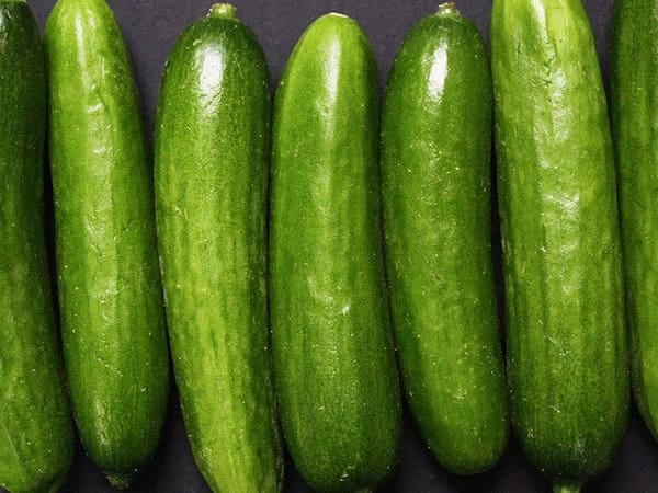 تصویر 1 از خرید و قیمت خیار سبز صادراتی + فروش عمده
